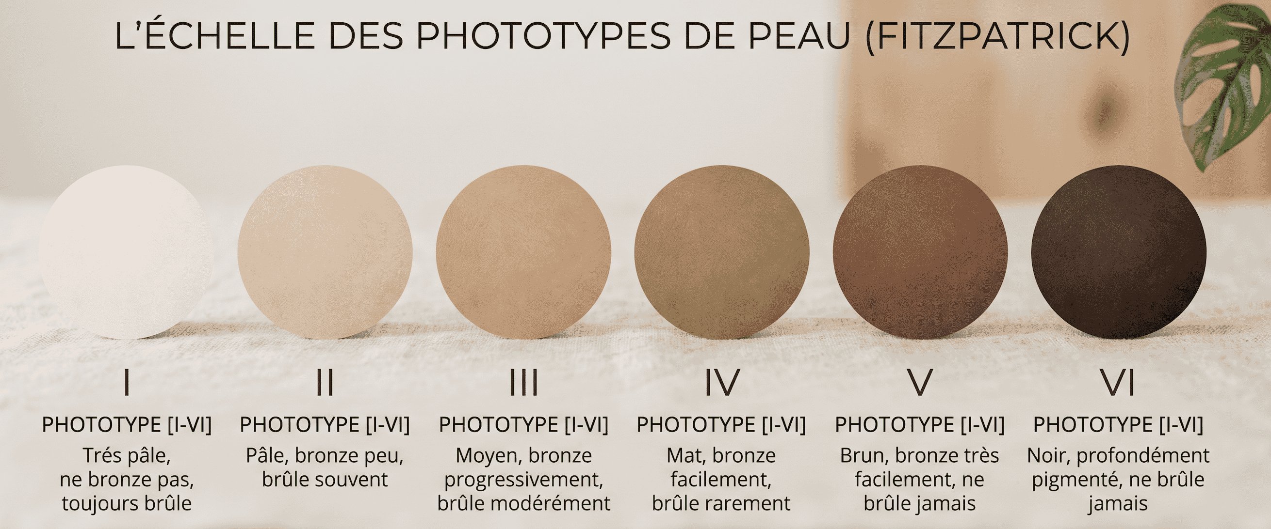 Echelle des différents phototypes de peau