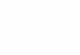Etoile de mer E-diagnostic ma peau face au soleil