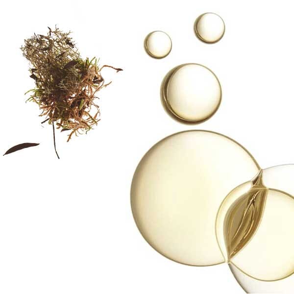 autobronzant model valebio