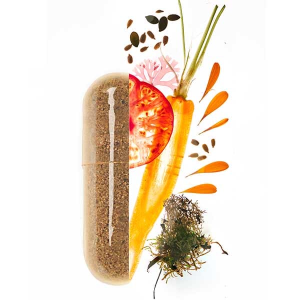 autobronzant model valebio