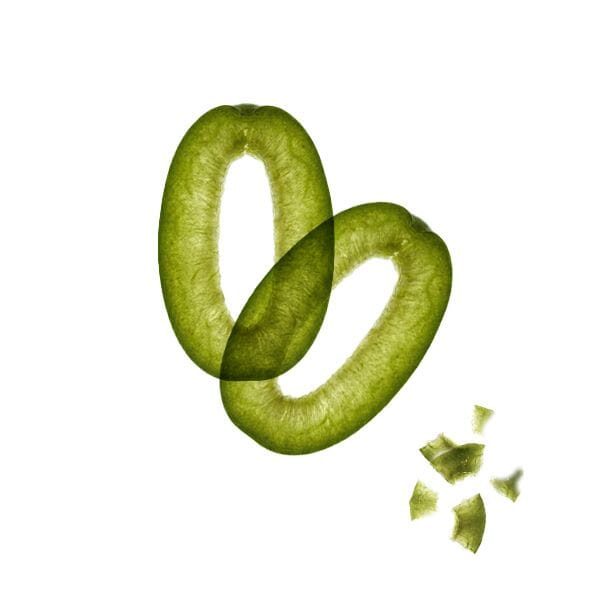 BREVET SelectSIEVE® OptiChol