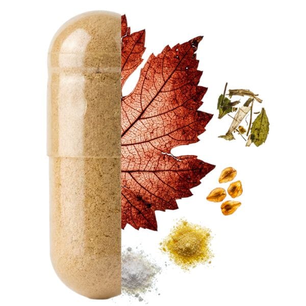 composition creatine 100% pure valebio
