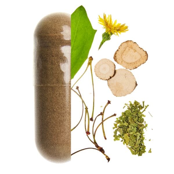 composition draineur valebio