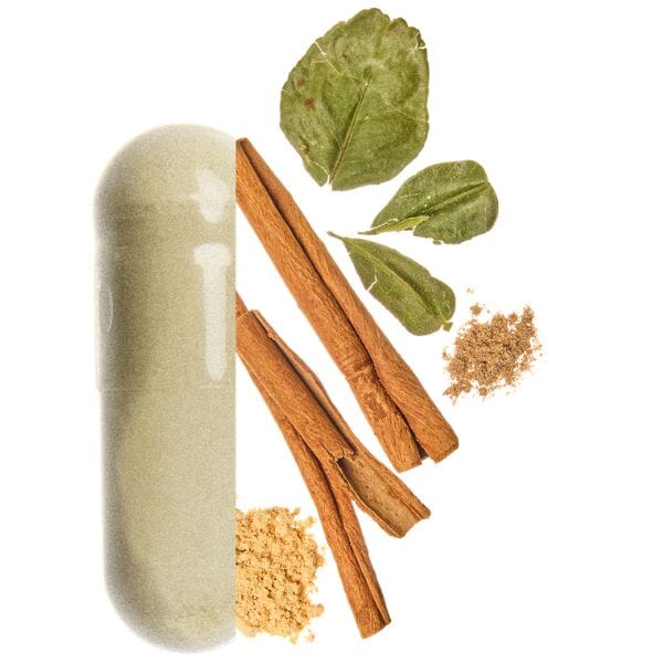 composition equilibre des sucres valebio