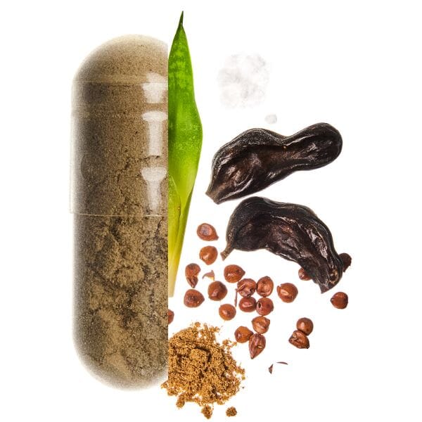 composition satiete minceur valebio