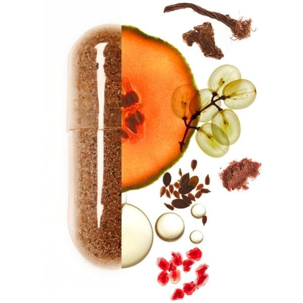 complement alimentaire antioxydant valebio les ingredients