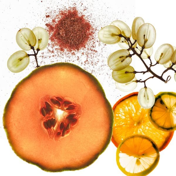 ACTIF SKINAX 2TM valebio