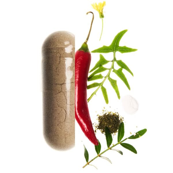 composition bruleur valebio