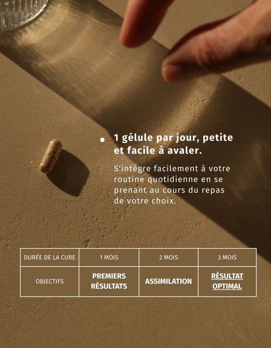 prise quotidienne complément cholestérol Valebio