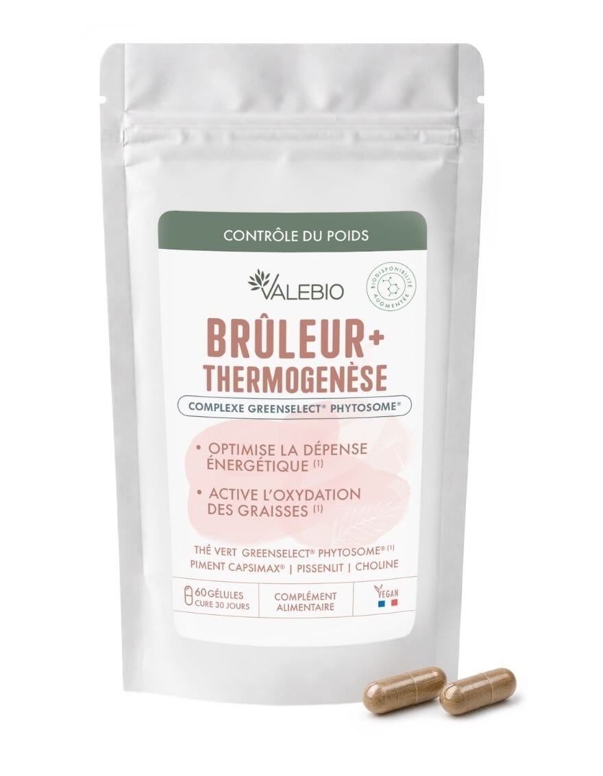 Brûleur + • Thermogénèse