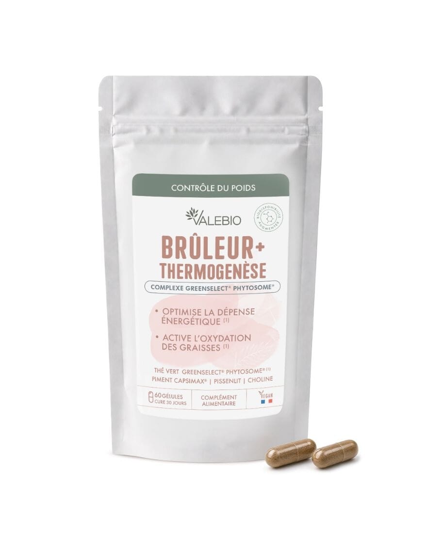 Brûleur + • Thermogénèse